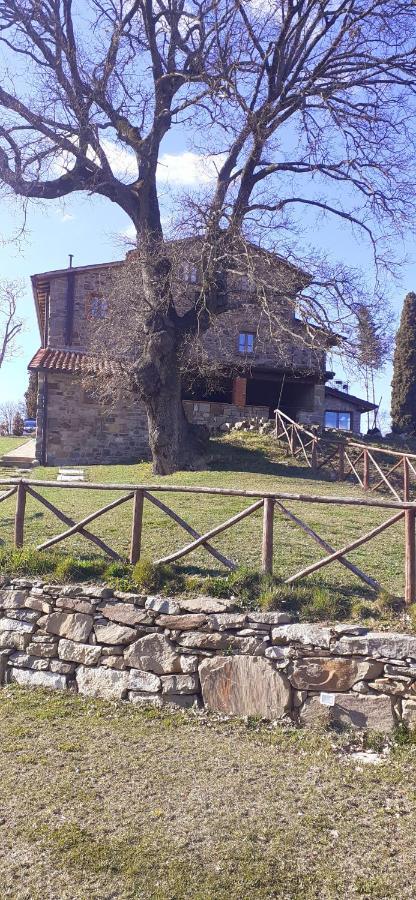 Villa Antico Casale Di Ferdinandi Bibbiena Exterior foto