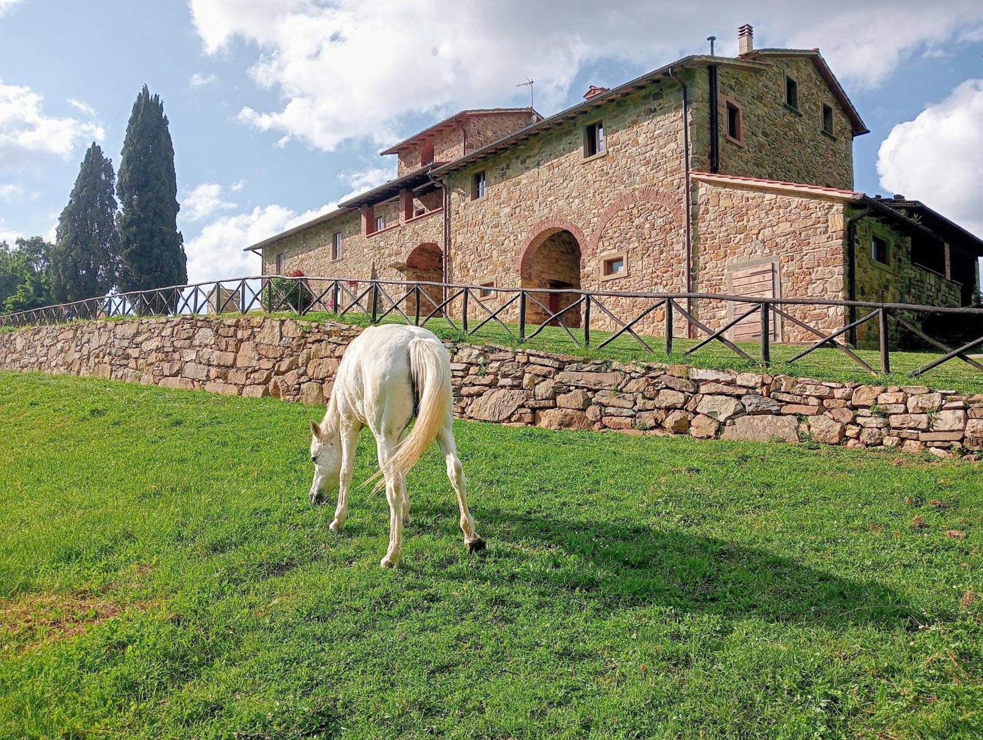 Villa Antico Casale Di Ferdinandi Bibbiena Exterior foto