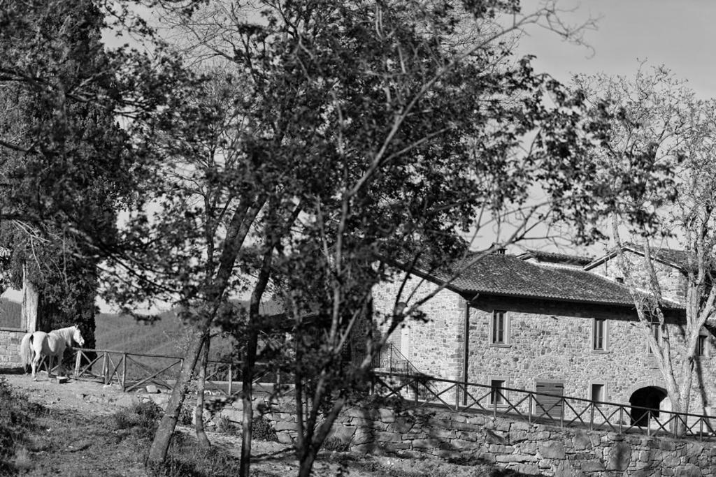 Villa Antico Casale Di Ferdinandi Bibbiena Exterior foto